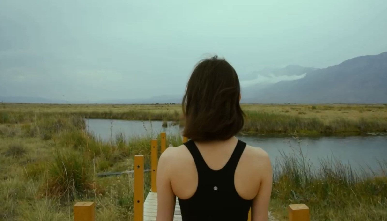 Cargar video: 